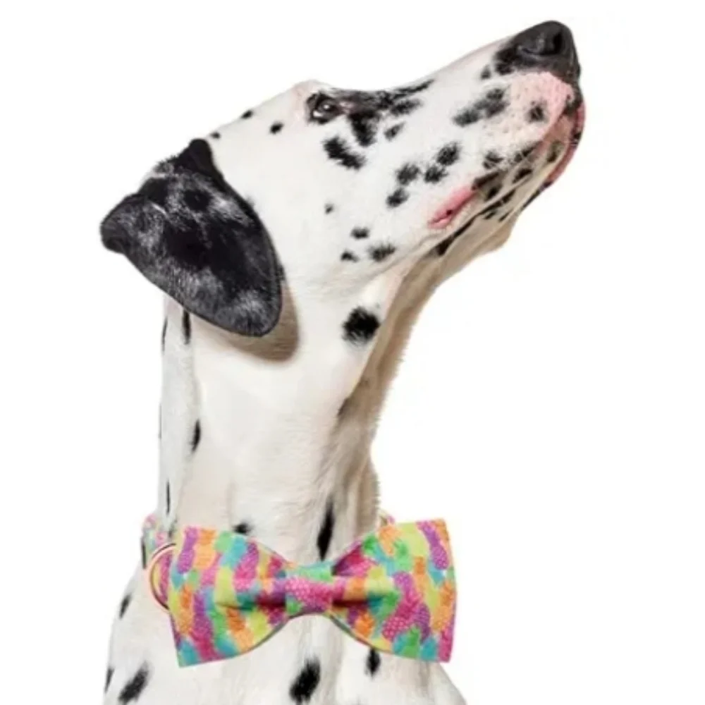 Lionet Paws Colorful Pineapple Dog Collar with Bowtie Size M